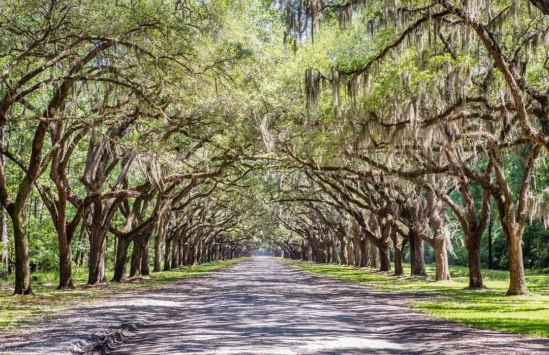 Holiday Inn Savannah Historic District By Ihg-1